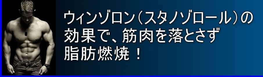 ウィンゾロン(スタノゾロール)の効果で、筋肉を落とさず脂肪燃焼！ダイエットにも最適！